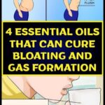 4 ESSENTIAL OILS THAT CAN CURE BLOATING AND GAS FORMATION